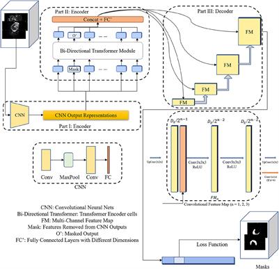 3D bi-directional transformer U-Net for medical image segmentation